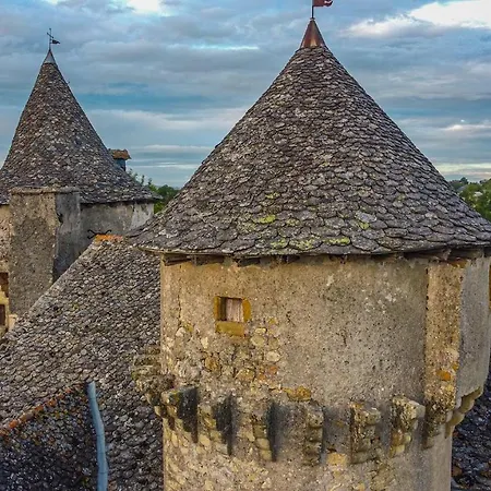 בית נופש Chateau Garinie 15th Century Medieval Castle In The South Of France